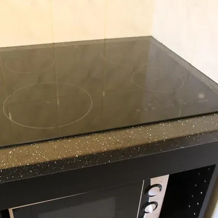 威德克公寓酒店 *