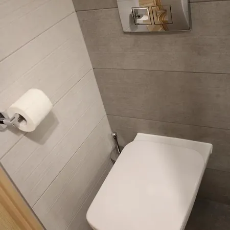 威德克公寓酒店 *